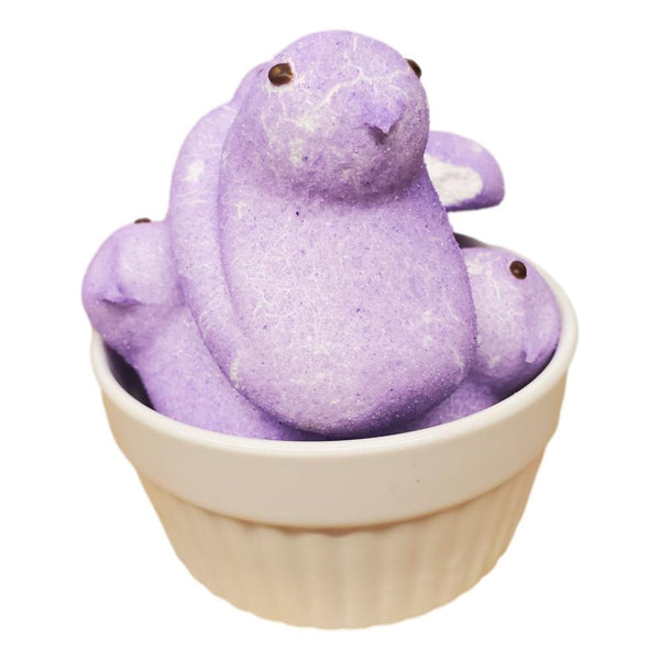 Freeze Dried Peeps - Purple 5pk