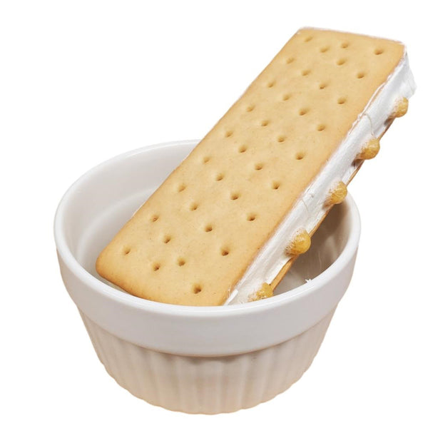 Freeze Dried Ice Cream Sandwich Caramel Blondie 1pk
