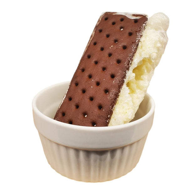 Freeze Dried Ice Cream Sandwich - Vanilla Frozen Yogurt 1pk